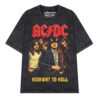 Áo thun rock vintage ACDC Highway to Hell - D42